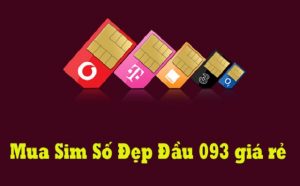 Đầu số 093 là mạng gì? Ý nghĩa đầu số 093 ra sao?